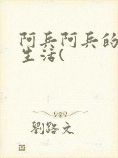 阿兵阿兵的快乐生活(