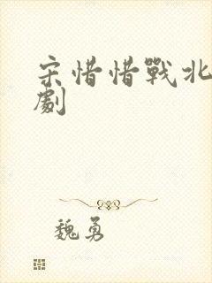 宋惜惜战北望短剧