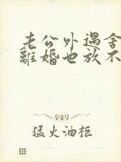 老公外遇舍不得离婚也放不下小三