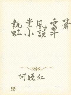 执掌风云萧峥陈虹小说斗
