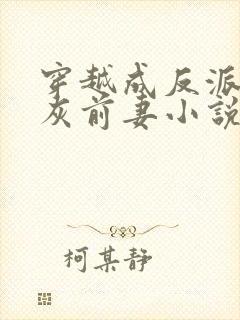 穿越成反派的炮灰前妻小说