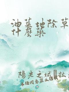 油菜地除草剂用什么药