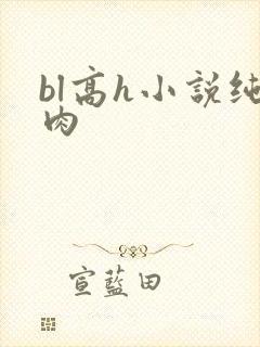 bl高h小说纯肉
