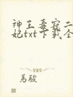 神王毒宠二嫁王妃txt下载全本