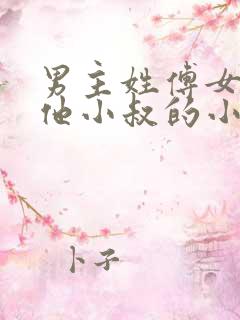 男主姓傅女主叫他小叔的小说