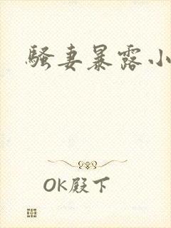 骚妻暴露小说