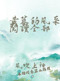 黄蓉的风采小说阅读全部