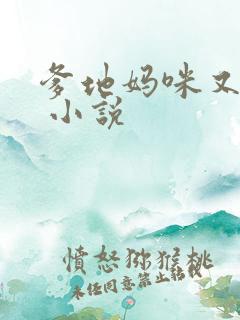 爹地妈咪又跑了 小说