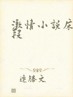 激情小说床戏片段