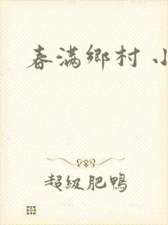 春满乡村 小说