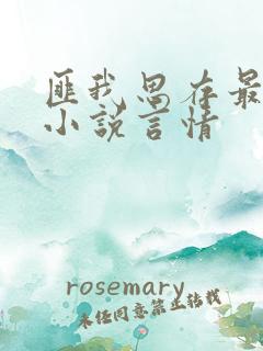 匪我思存最新的小说言情