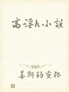 高淫h小说