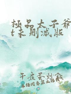 极品太子爷txt未删减版