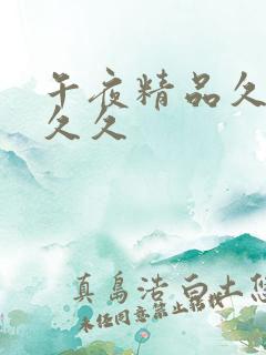 午夜精品久久久久久
