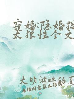宠婚:隐婚总裁太狼性全文免费阅读