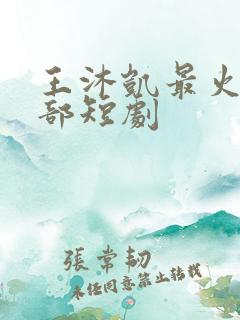 王沐凯最火的5部短剧