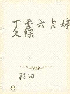 丁香六月婷婷久久综