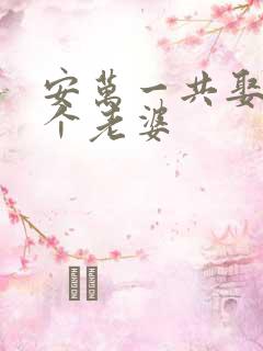 安万一共娶了几个老婆