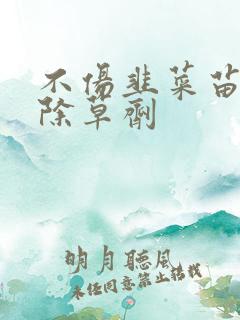不伤韭菜苗专用除草剂 不伤韭菜苗专用除草剂