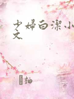 少妇白洁小说辣文