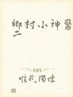 乡村小神医王小二