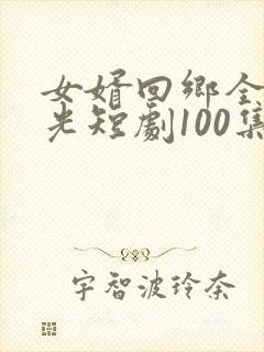 女婿回乡全村风光短剧100集免费观看