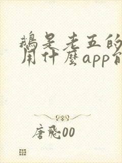 鹅是老五的小说用什么app能看