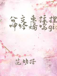 公交车揉捏大乳呻吟娇喘gif