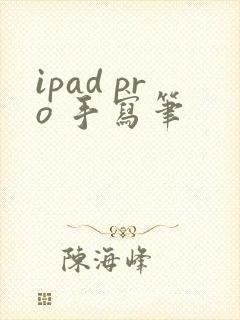 ipad pro 手写笔