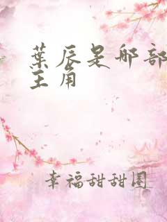 叶辰是哪部小说主角