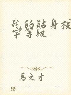 我的贴身校花唐宇等级