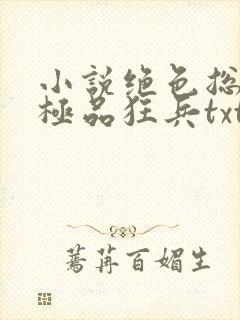 小说绝色总裁的极品狂兵txt下载