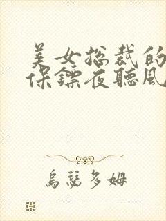 美女总裁的贴身保镖夜听风