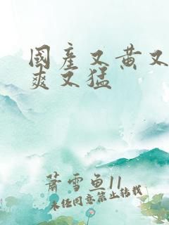 国产又黄又粗又爽又猛