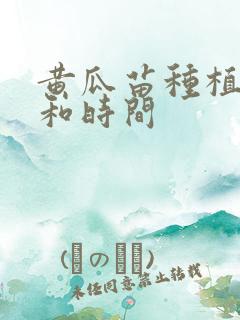 黄瓜苗种植方法和时间