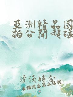 亚洲精品国产偷拍公开超碰在线