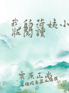 我的荷姨小说正版阅读