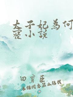 太子妃为何不侍寝小说