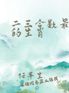 二三合数最正确的生肖