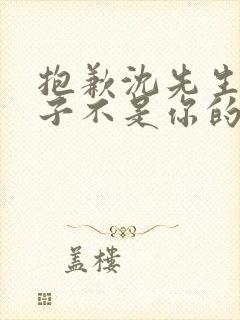 抱歉沈先生,孩子不是你的短剧播放