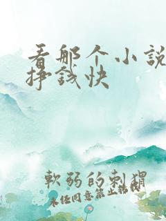 看那个小说软件挣钱快