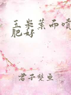 玉米叶面喷什么肥好