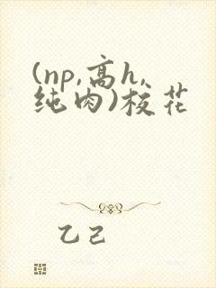 (np,高h,纯肉)校花