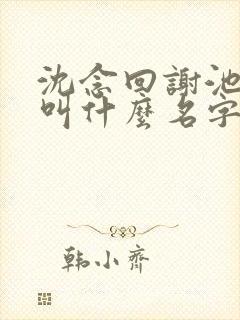 沈念回谢池小说叫什么名字