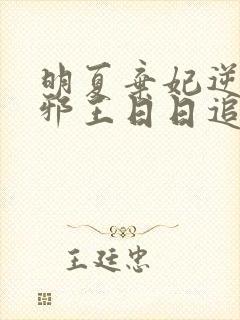 明夏弃妃逆袭:邪王日日追妻忙