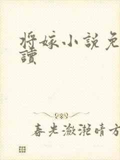 将嫁小说免费阅读