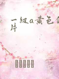 一级a黄色录像片