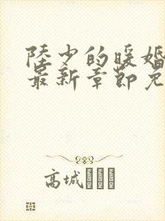 陆少的暖婚新妻最新章节免费阅读