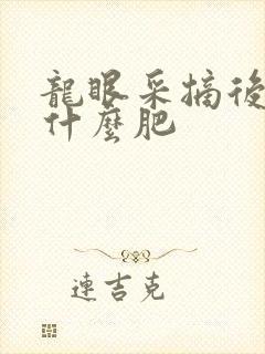 龙眼采摘后应施什么肥