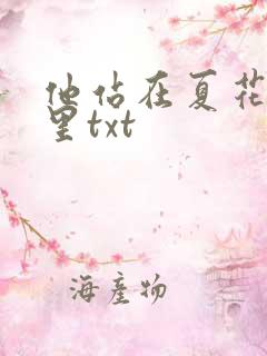 他站在夏花绚烂里txt